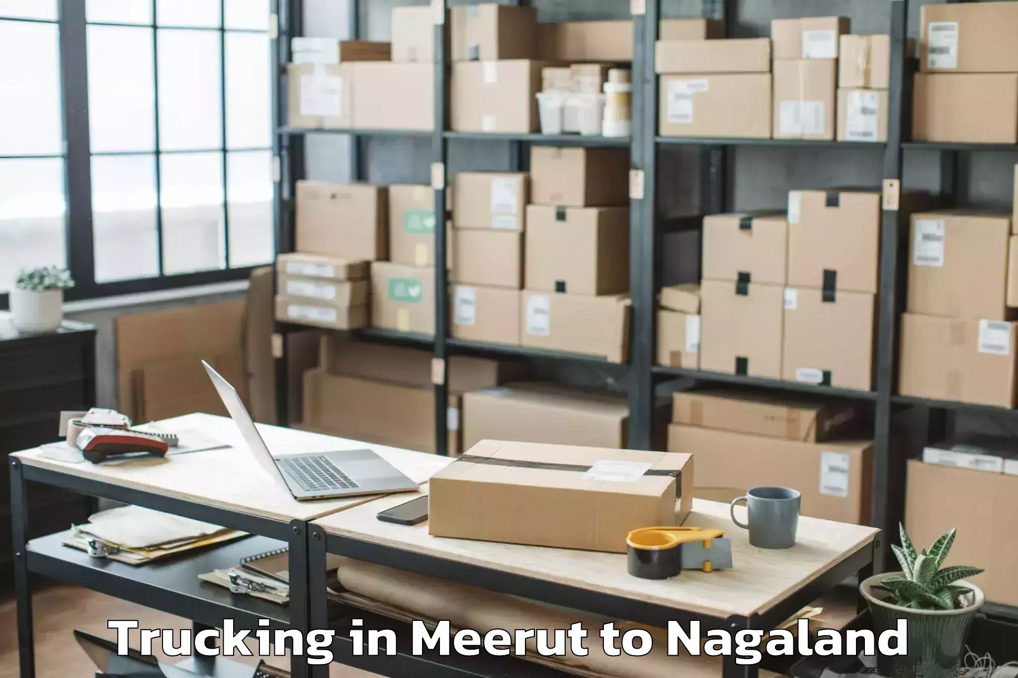 Book Meerut to Sekruzu Trucking Online